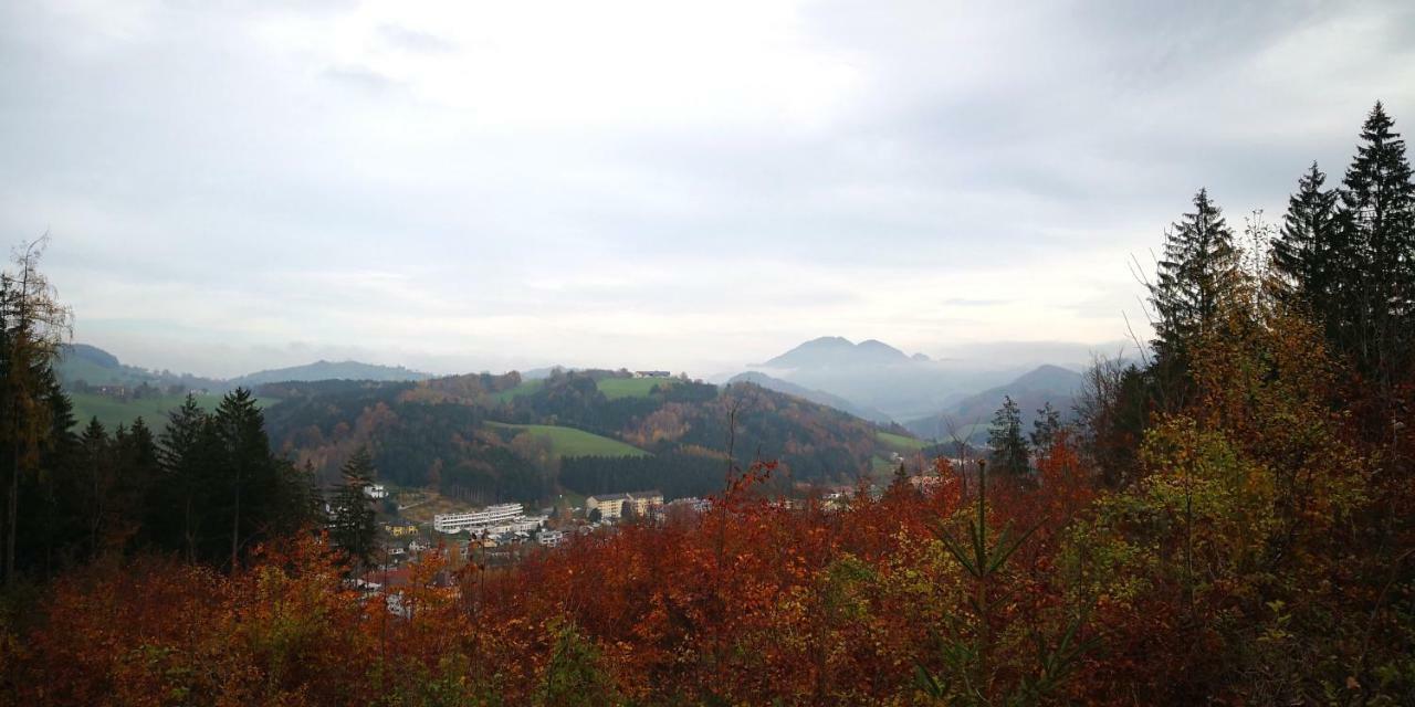 Zimmervermietung Stocker Waidhofen an der Ybbs Exterior photo